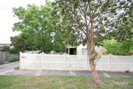 3 South St, Belmont, VIC 3216