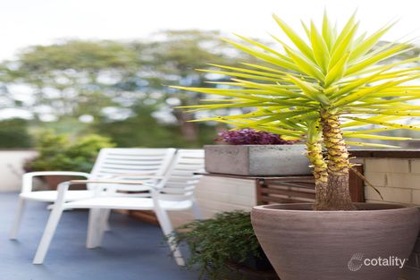 Property photo of 9/118 Fisher Road Dee Why NSW 2099