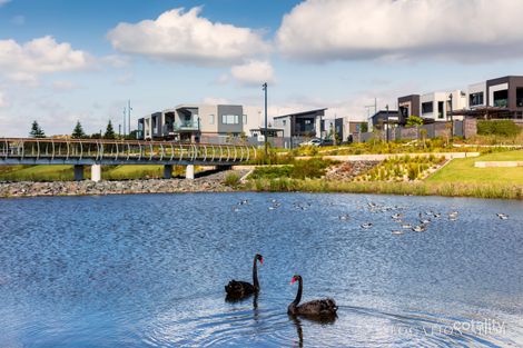 Property photo of 15 Wharf Parade Shell Cove NSW 2529