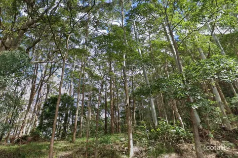 29-33 Staghorn Rd, Tamborine Mountain, QLD 4272