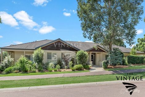 Property photo of 16 Turpentine Close Pokolbin NSW 2320