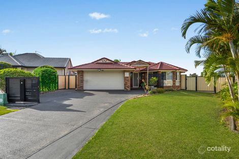 Property photo of 3 Sorrel Place Ormeau QLD 4208