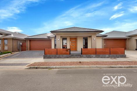 Property photo of 30 Patta Avenue Lightsview SA 5085