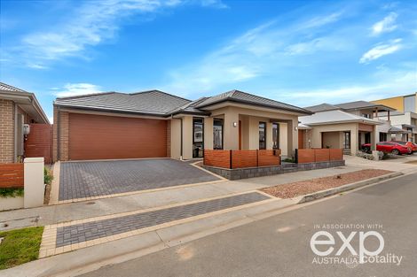 30 Patta Ave, Lightsview, SA 5085