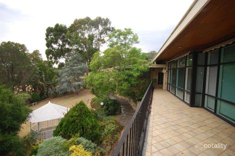 Property photo of 59 Delamere Avenue Springfield SA 5062