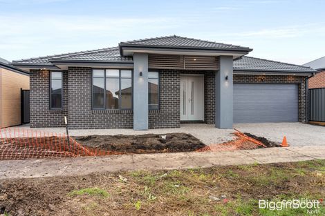 13 Dwarf Rd, Kalkallo, VIC 3064