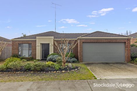 Property photo of 11/66 Wyndham Street Drysdale VIC 3222