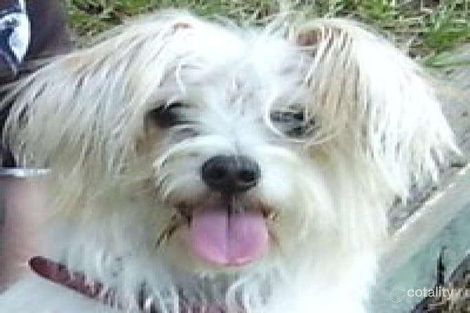 4/9 Coleridge Ct, Nerang, QLD 4211