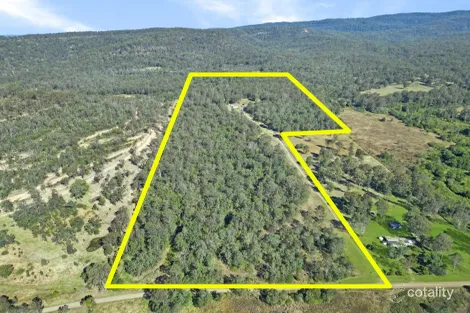 Property photo of 2445 Busbys Flat Road Busbys Flat NSW 2469