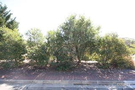 Property photo of 44 Horseshoe Drive Woodcroft SA 5162