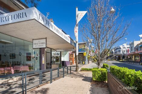 Property photo of 159 Norton Street Leichhardt NSW 2040