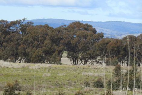 91 Bowler Lane, Violet Town, VIC 3669