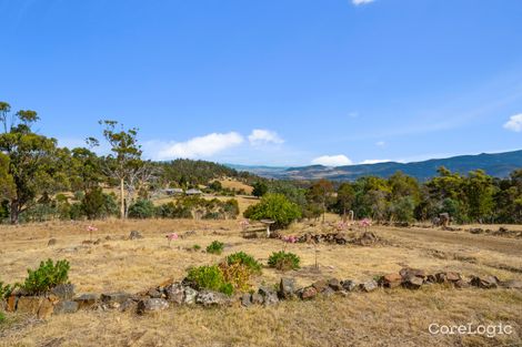 Property photo of 367 Ironstone Gully Road Lachlan TAS 7140