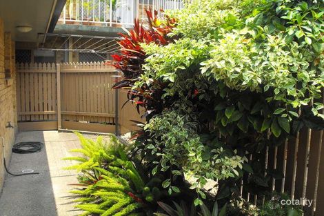 Property photo of 7/383 Oxley Avenue Redcliffe QLD 4020