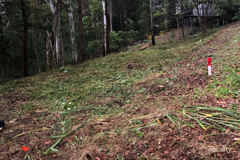 39 Birdwing Forest Pl, Buderim, QLD 4556