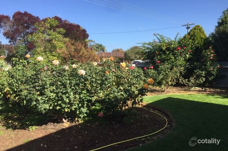 Property photo of 367 Cadell Street Hay NSW 2711