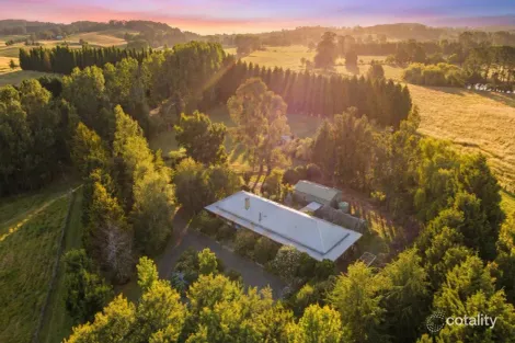 Property photo of 254 Mount Broughton Road Werai NSW 2577
