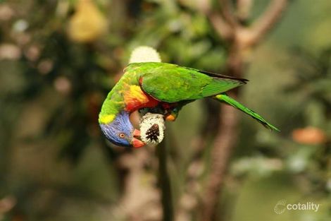 27 Lakefield Cres, Beerwah, QLD 4519