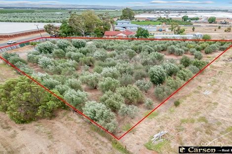Property photo of 140 Alfred Road Virginia SA 5120
