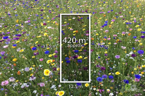 11 Chestnut Ave, Clyde, VIC 3978