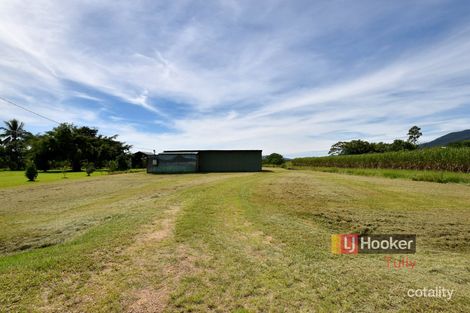 260 Old Tully Rd, Midgenoo, QLD 4854