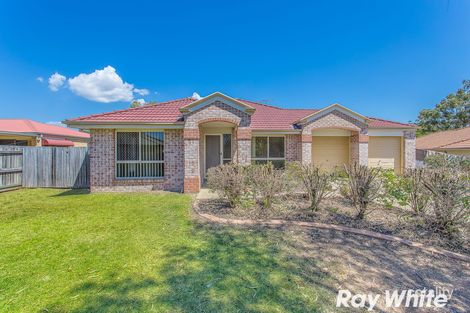 Property photo of 49 Pine River Drive Murrumba Downs QLD 4503