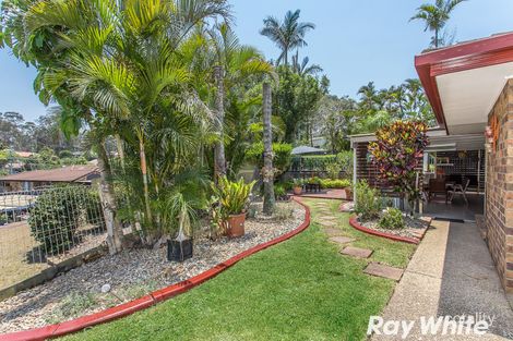 Property photo of 19 Brewster Court Petrie QLD 4502