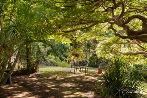 542 Palmwoods-Montville Rd, Montville, QLD 4560