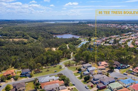 Property photo of 85 Tee Trees Boulevard Arundel QLD 4214