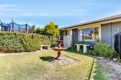 Property photo of 39 Guelfi Road Balcatta WA 6021