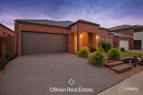 Property photo of 16 Curran Drive Officer VIC 3809