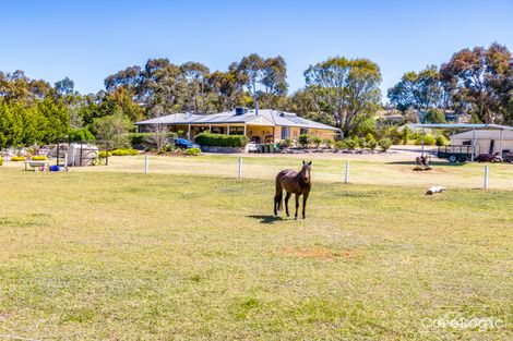 Property photo of 29 Arabian Court Hindmarsh Valley SA 5211