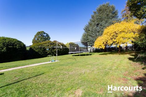 Property photo of 28 Gay Street Deloraine TAS 7304