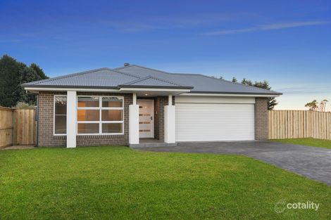 Property photo of 9 Cascabel Close Balaclava NSW 2575