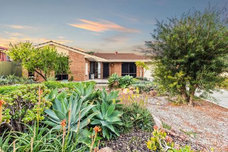 Property photo of 19 Pacific Way Beldon WA 6027