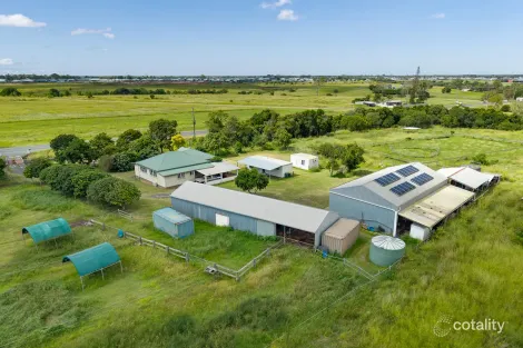 Property photo of 293 Fe Walker Street Kalkie QLD 4670