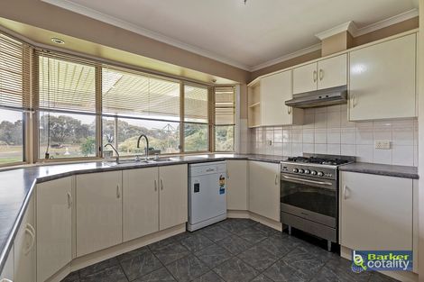 Property photo of 6 Palomino Court Roseworthy SA 5371