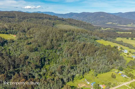 Property photo of 21 Mansfields Road Franklin TAS 7113