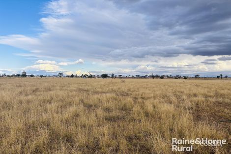 Property photo of 57 Upper Bowen Street Roma QLD 4455