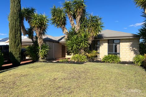 3 Songlark Ct, Baldivis, WA 6171