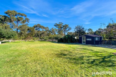 70 Riverview Rd, Scamander, TAS 7215