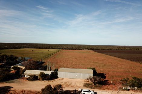 Property photo of 332 Costello Road Loveday SA 5345