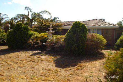 16 Palomino Dr, Angle Vale, SA 5117