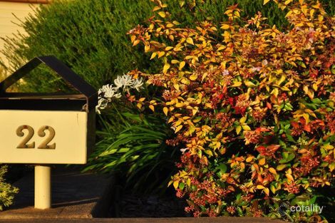 Property photo of 22 Back Creek Road Young NSW 2594