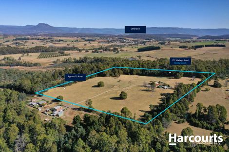 125 Wadleys Rd, Reedy Marsh, TAS 7304