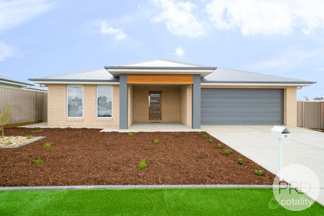 19 Thane Ct, Lloyd, NSW 2650