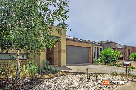 Property photo of 23 Dahlia Drive Caroline Springs VIC 3023