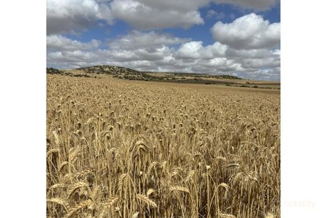 Lot 65 Forrester Rd, Mount Erin, WA 6532