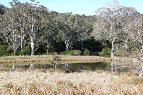 Lot 101 Long Gully Rd, Drake, NSW 2469