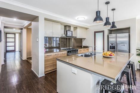 Property photo of 19 Markwell Crescent Mango Hill QLD 4509